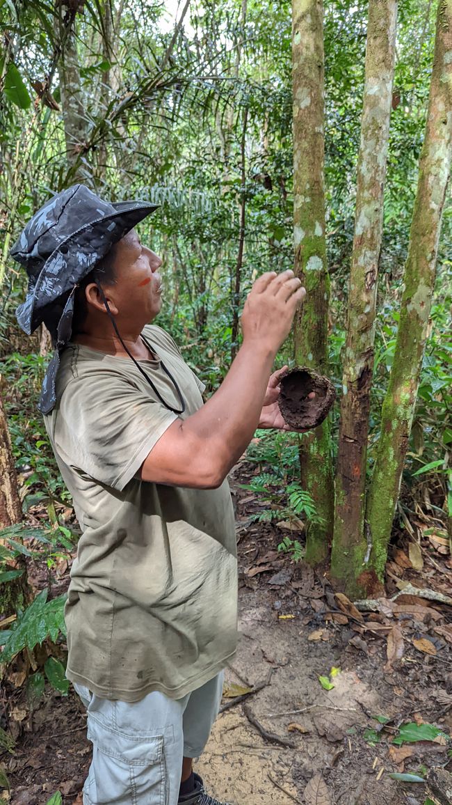 2. Día en la selva amazónica