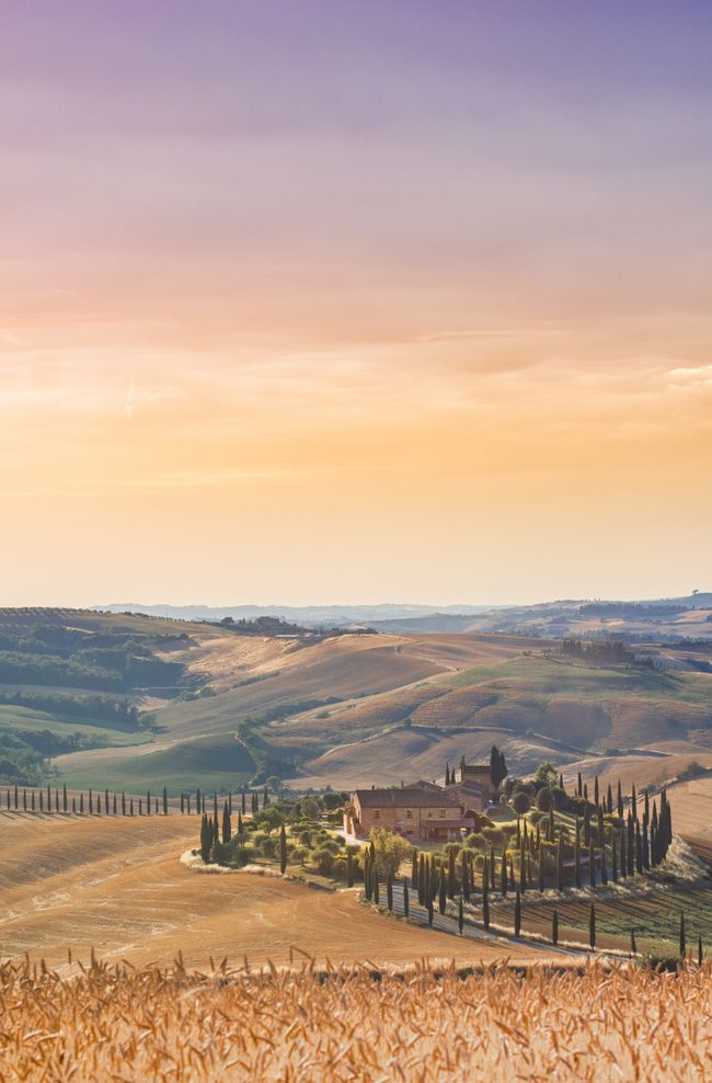 Landscape in Toscana