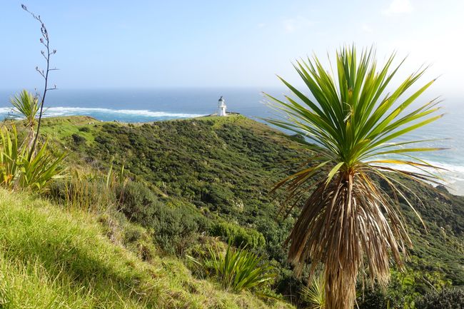 Cape Reinga, the northernmost point of the North Island