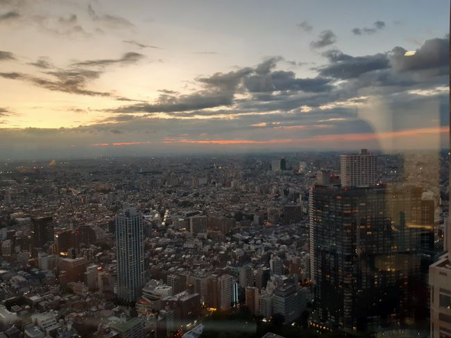 ... and view from the Metropolitan Government Building (facing west, somewhere on the left, Mount Fuji should be hiding)