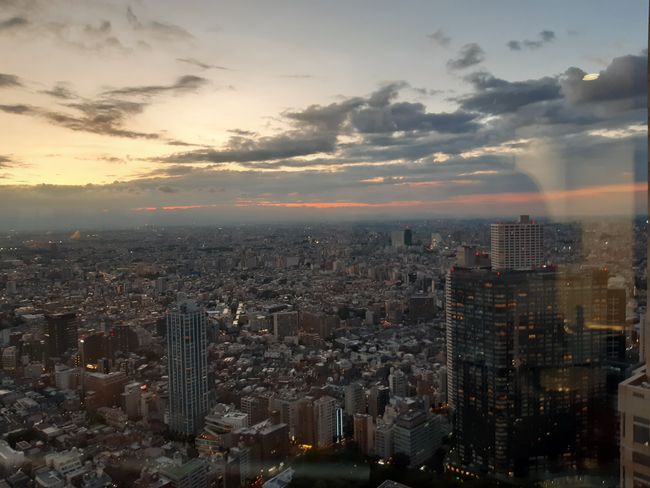 ... y vista desde el Edificio del Gobierno Metropolitano (hacia el oeste, en algún lugar a la izquierda debería estar el Fuji escondido)