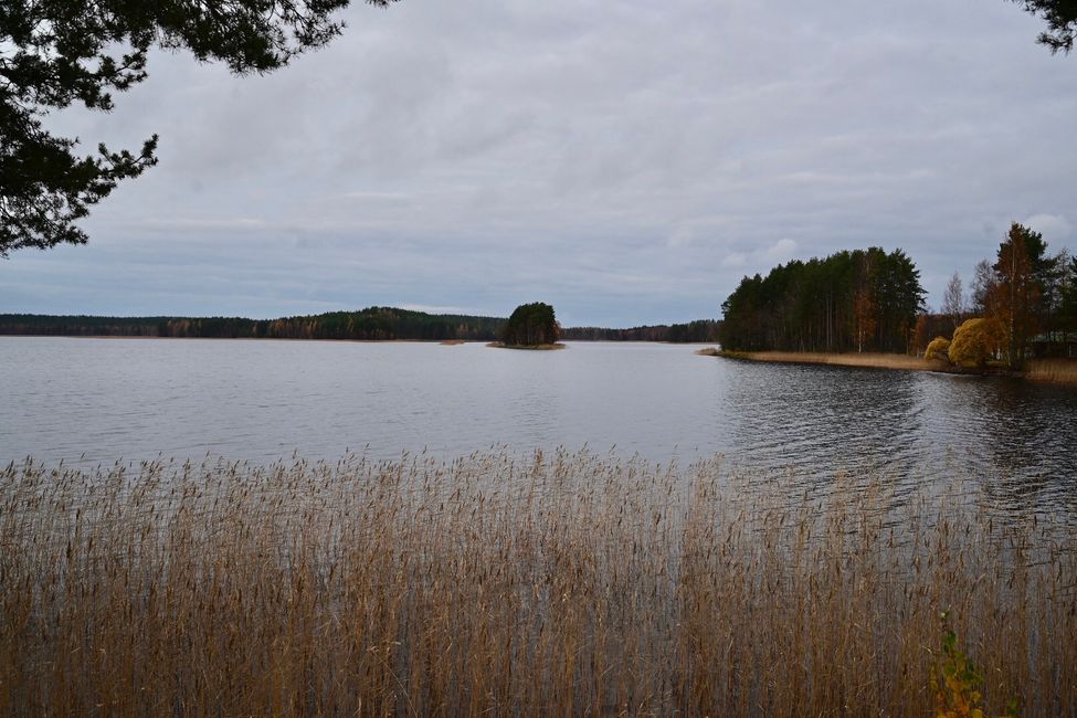 Fr 8.10. Rovaniemi - Seenplatte - Kerimäki