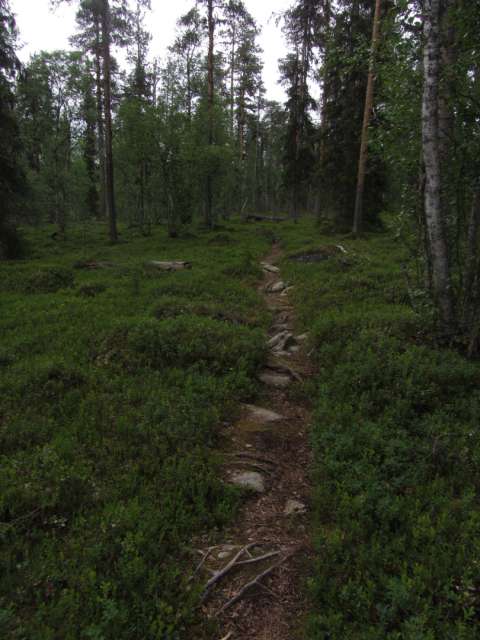 Urho Kekkosen Nationalpark-Nuortti Track - Wanderung im tiefsten Lappland