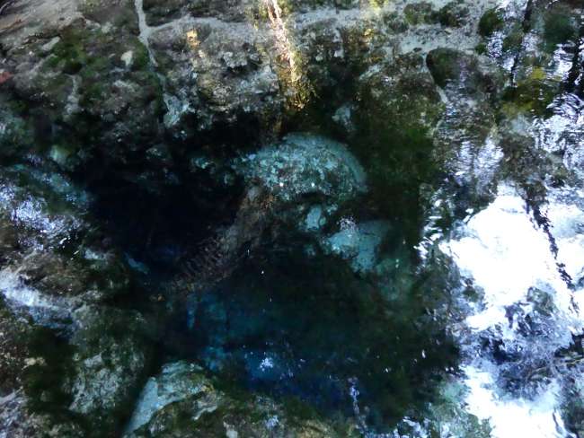 Blick in die Tiefe der Hangarua Spring