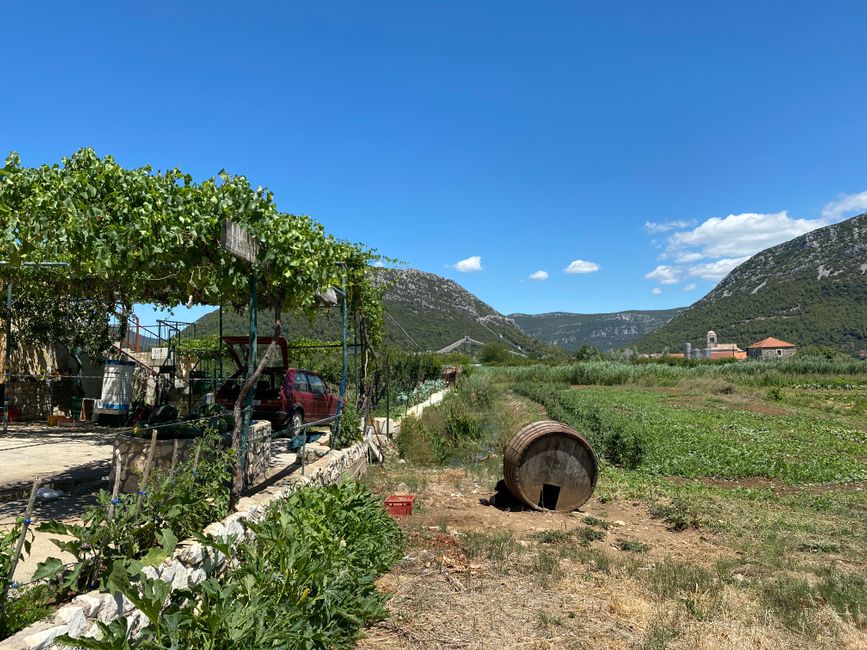 Dubrovnik Teil 1