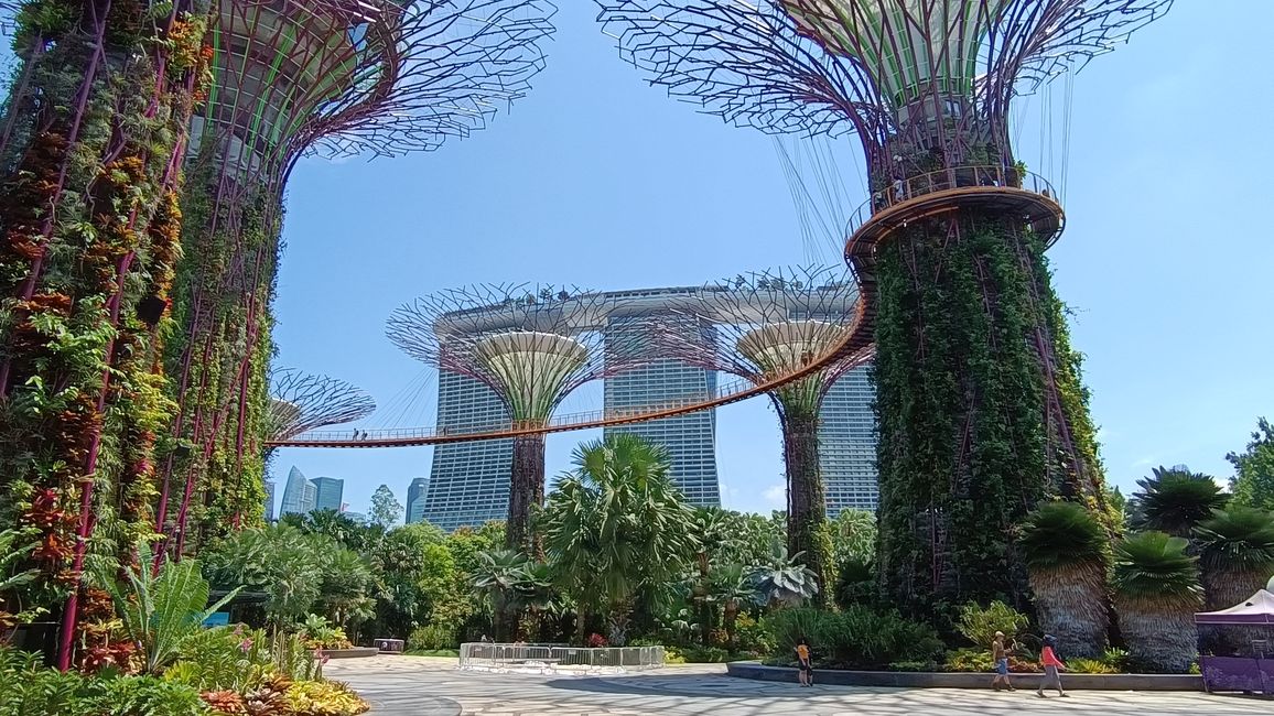 Singapur - Ein reicher Rundumschlag