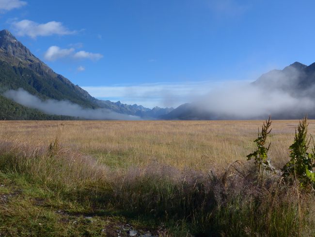 Milford Sound und Te Anau (Neuseeland Teil 32)