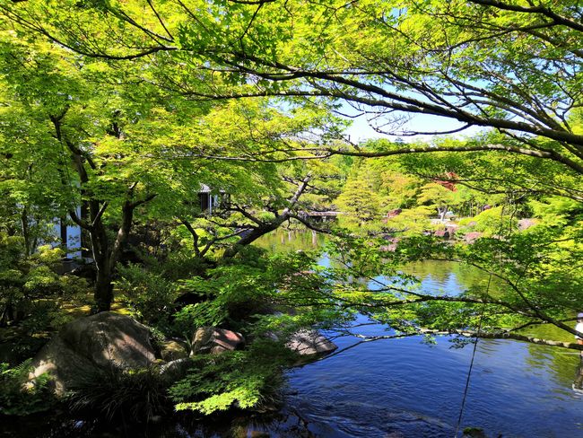 7.5.19 spontan nach Himeji-Jo - ein Traum wird wahr - leb deinen Traum