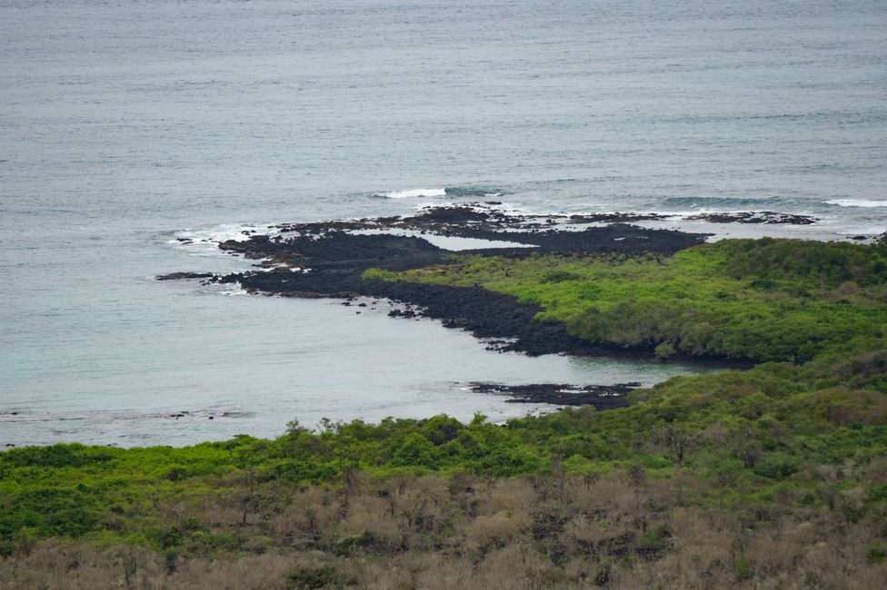 Galapagos Part III: Untouched Isabela