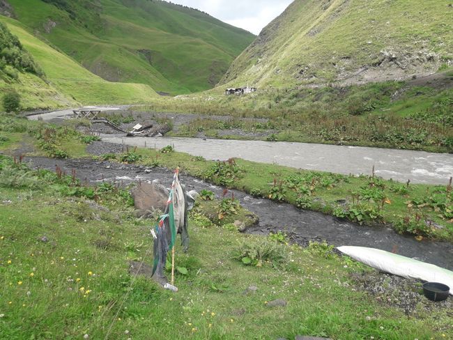 Shepherd skimming cheese