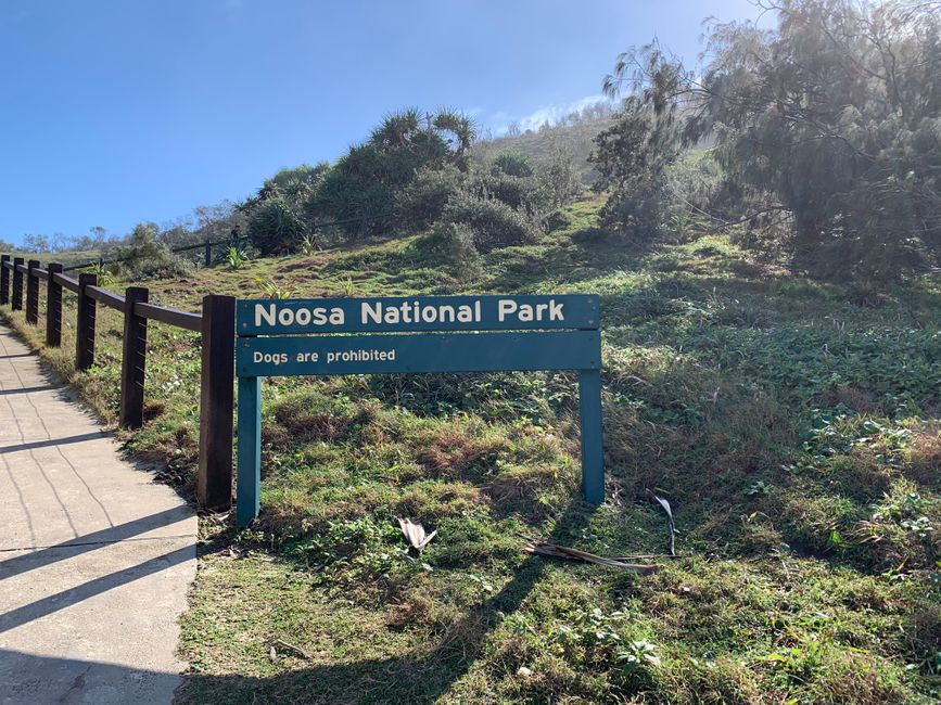 Noosa National Park 🏞