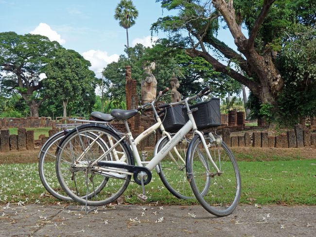 Unsere Fahrräder in Si Satchanalai (für sehr kleine Menschen gedacht)