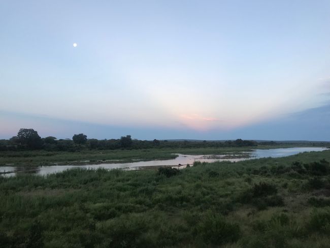 Abenteuer Safari