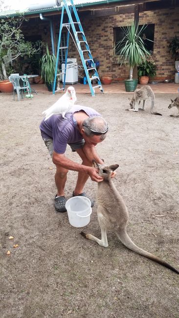 Gerry - the owner - Horizons Kangaroo Sanctuary