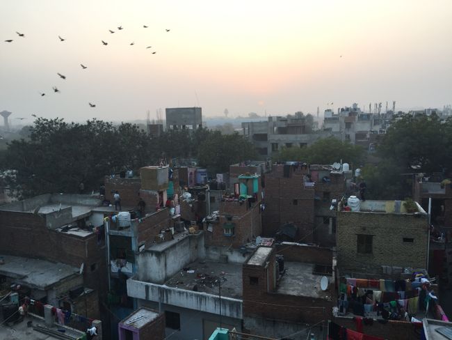 Tag 16: Neu Delhi, Indien - Kulturschock vom Fein(staubig)sten!