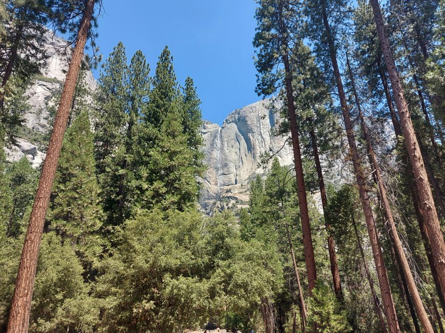 16. dan: Nacionalni park Yosemite