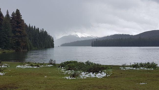 Maligne Lake (im Jasper Nationalpark)