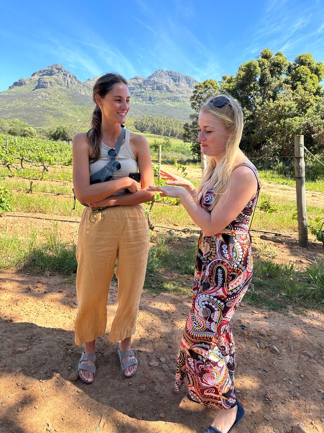 Stellenbosch 