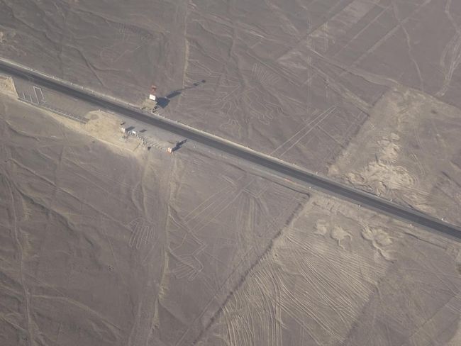 Nasca Lines: Lizard with Road Through the Tail
