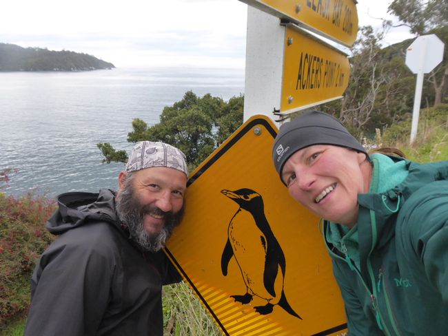 zwei-koewis-entdecken-neuseeland