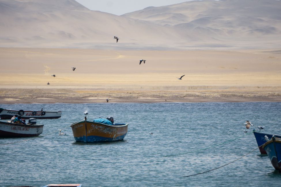 Fischer an der Küste, wo Wüste und Meer aufeinander treffen 