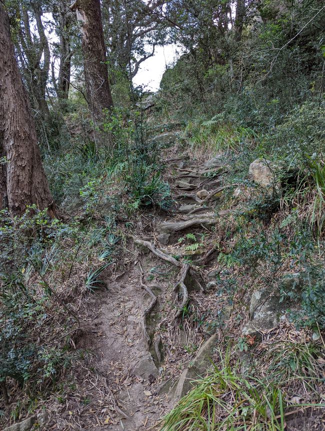 The WAY!!!