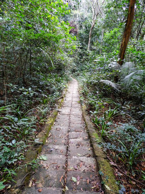 Tag 202 - Nationalpark Phong Nha