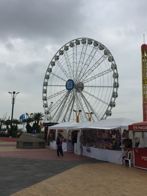 Ferris wheel 🎡 on the Malecon