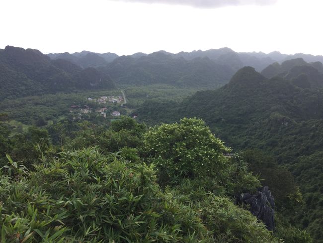 The beautiful national park on Cat Ba