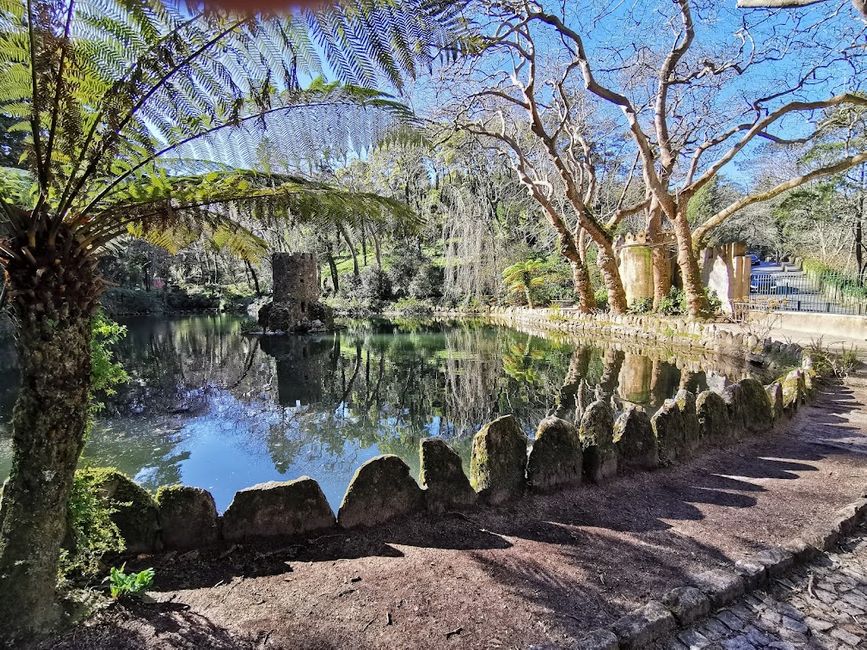 Park von Pena, das wichtigste Arboretum in Portugal