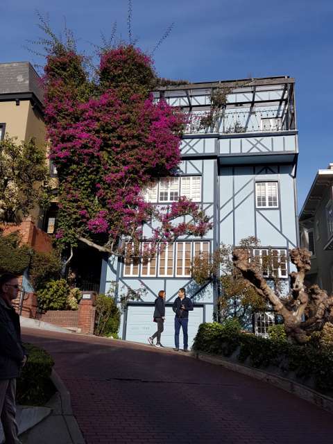 As known from many TV series, the streets of San Francisco are mostly extremely hilly. Parking there is not easy and requires a few security measures such as turning the front wheels. Took the cable car down to the water today, taking in Lombard Street, the city's most winding street, along the way.