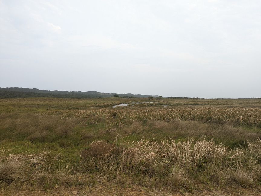 Parc marin d'iSimangaliso