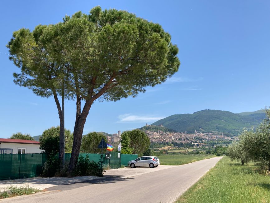 Blick auf Assisi