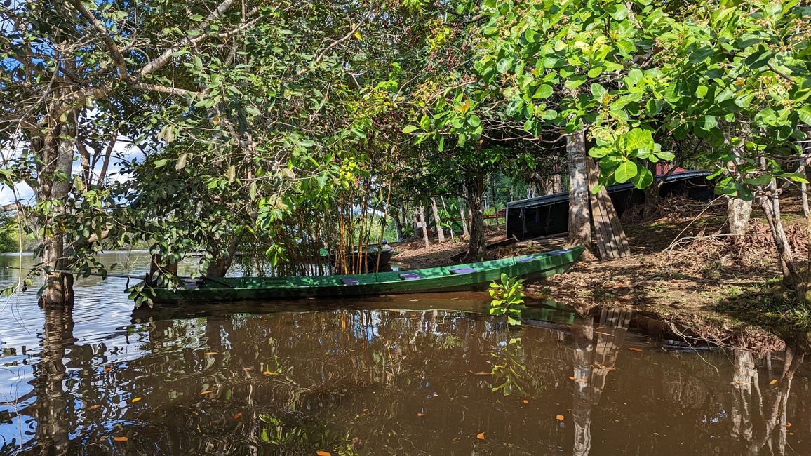 1. Tag Amazonas Dschungel