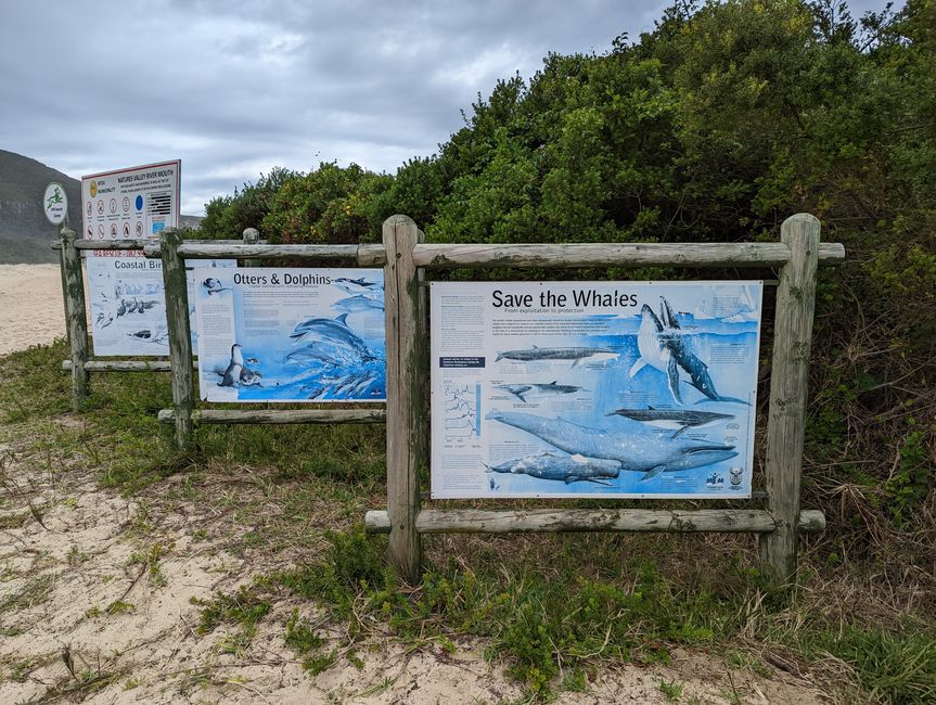Tsitsikamma National Park