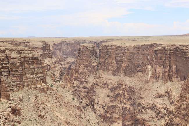 15 min vom Grand Canyon verändert sich die Natur enorm