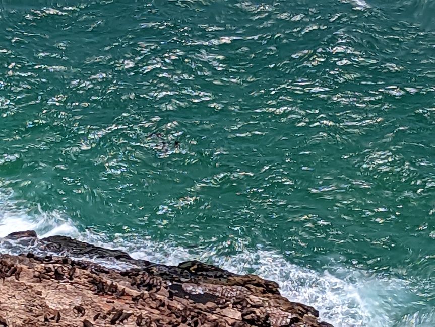 Plettenberg Bay/Robberg Nature Reserve