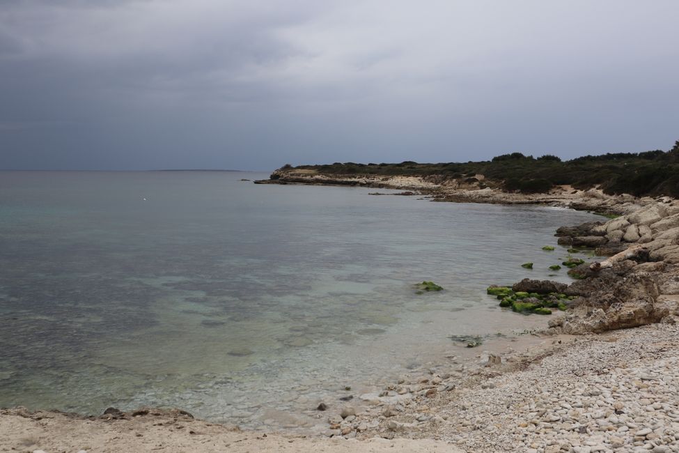 18 savaitė – Vakarų pakrantė Sardinija