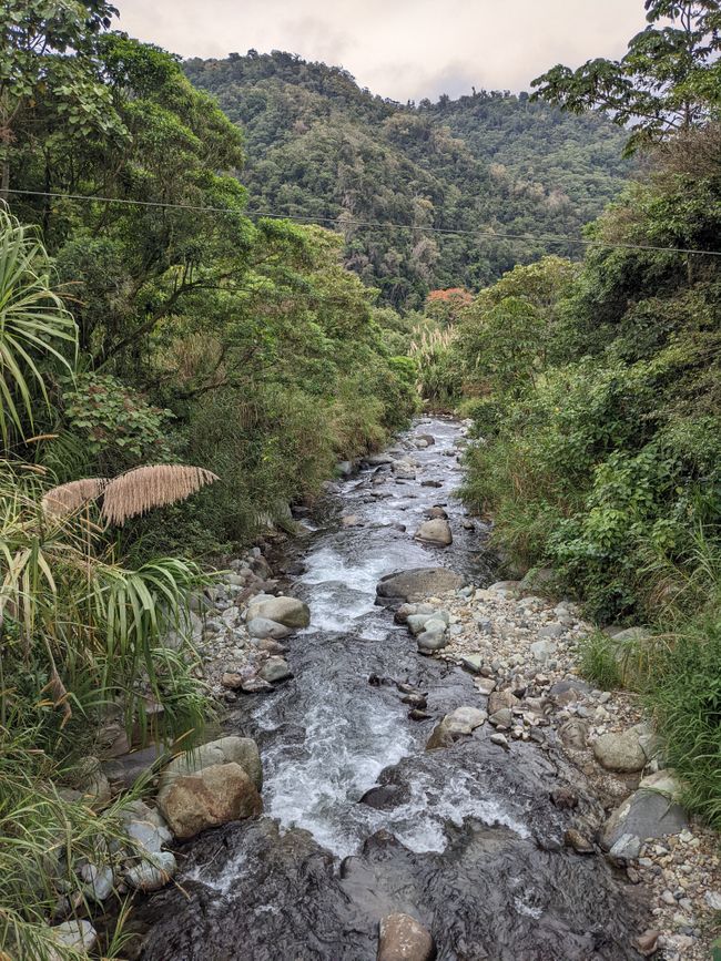 Stage 8: Through Tapantí National Park to Orosí