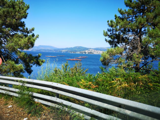 Vigo hat eine brutal schöne Bucht. Da muss ich nochmal hin!!!