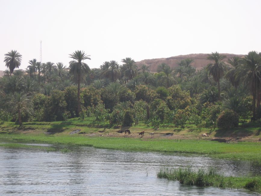 Nile Cruise Egypt - Part 2 Edfu