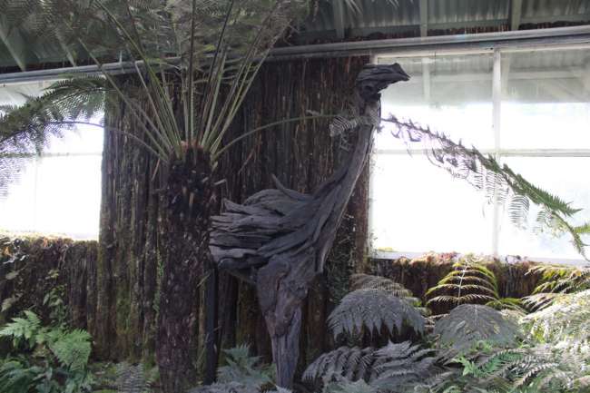 基督城的植物园