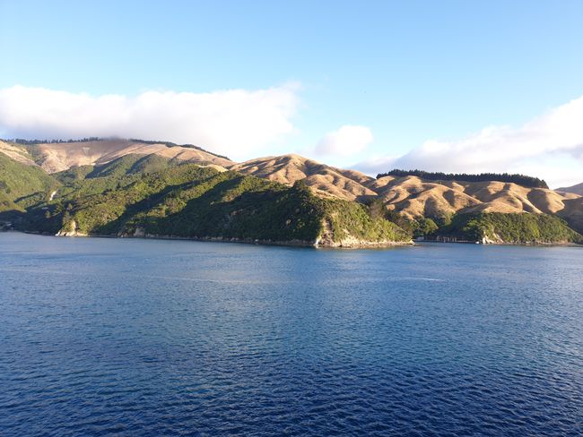 Scenic views during the ferry crossing from the North to the South Island