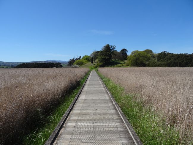 Tasmania: in the land of the Tasmanian Devil