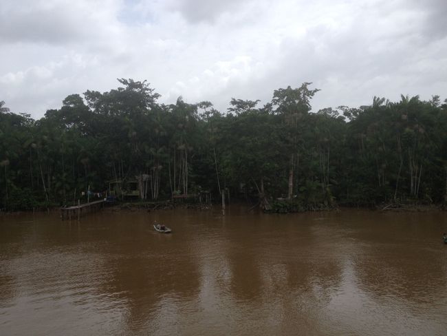 Brazil: Rio Amazonas #2