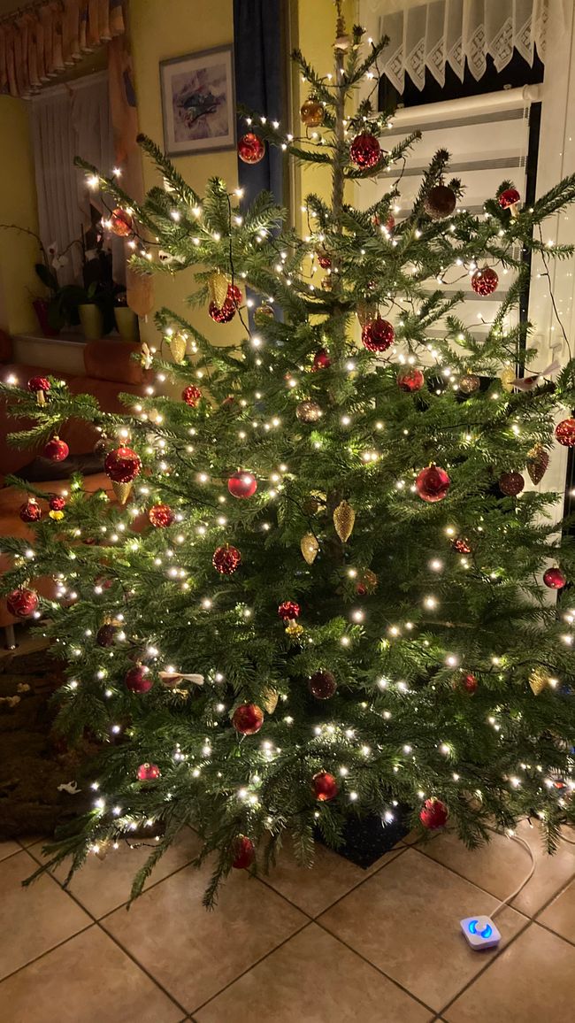 Klassisches Foto vom Weihnachtsbaum
