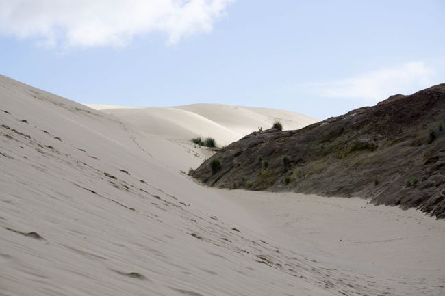 The Great Sand Dunes, a 'must-do' in New Zealand