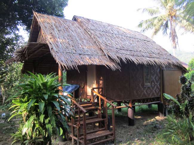 Meine Bambus Hütte