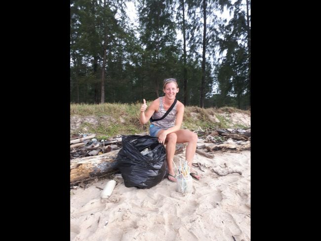 Beach cleanup
