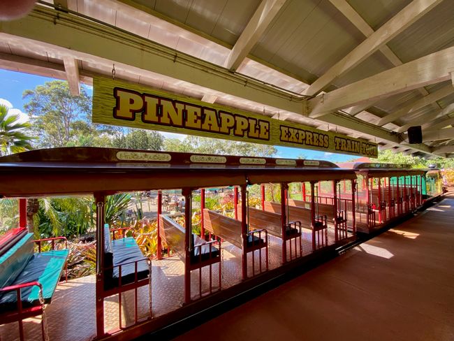 Der „Pineapple Express“ fährt eine kleine Plantagen-Tour